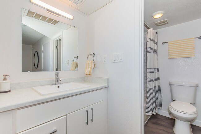 Interior Photo - 32 Arcadia
