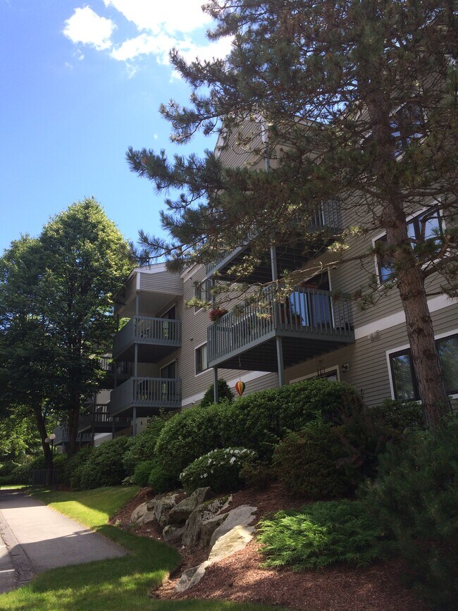 16 Ledgewood Hills Dr Unit 303, Nashua, NH 03062 Condo for Rent in Nashua, NH