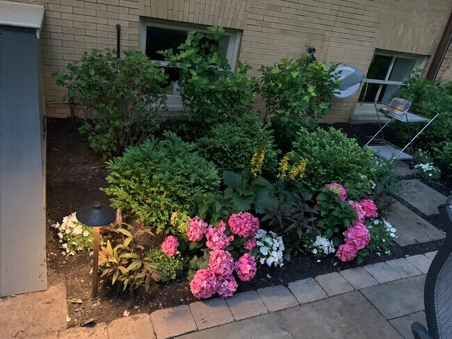 Patio de los propietarios en la parte trasera de la casa. - 1228 Forest Ave