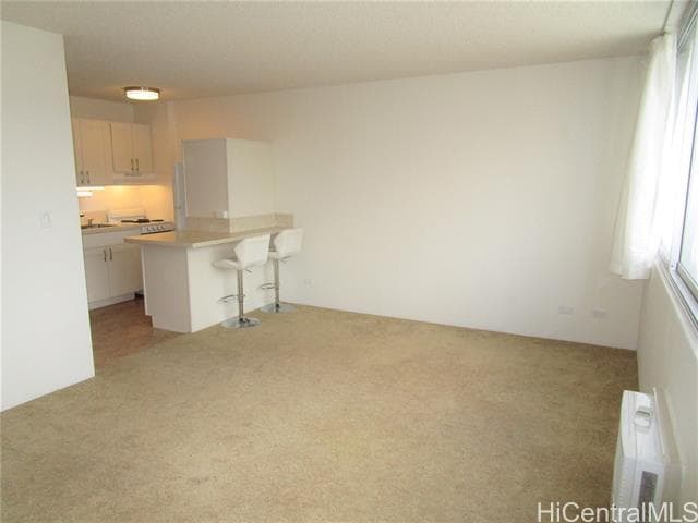 Building Photo - 1560 Kanunu St