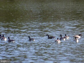 Building Photo - 1708 Lake Shore Crest Dr