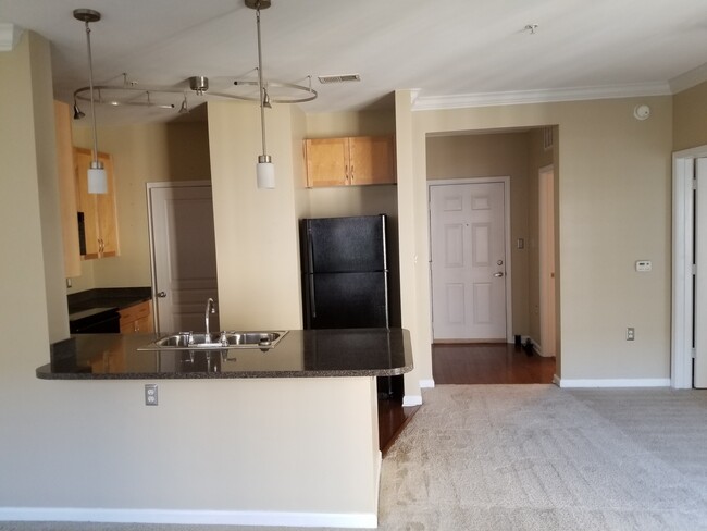 Building Photo - THE ROW at Ghent Condominiums