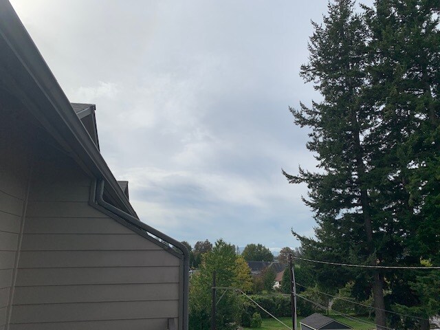 Vista de la línea de árboles desde la cubierta - 1991 Alder St