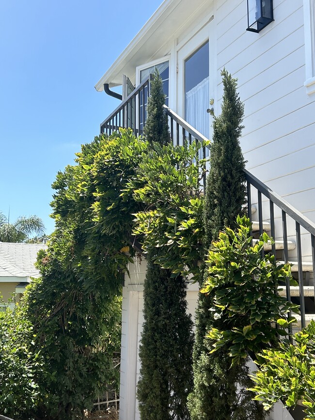 Building Photo - 216 Cypress Dr
