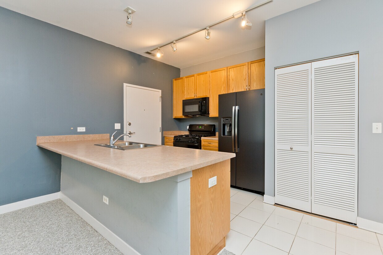 1515 S Halsted St Unit 214, Chicago, IL 60607 Condo for Rent in
