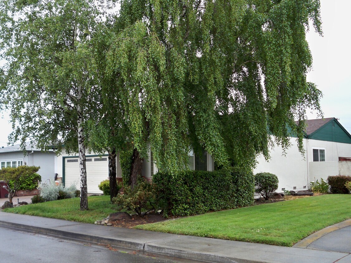 1743 Via Ventana, San Lorenzo, CA 94580 House Rental in San Lorenzo