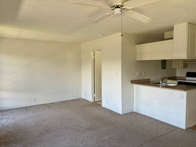 Building Photo - Studio, 1 Bath Apartment with 1 Assigned P...