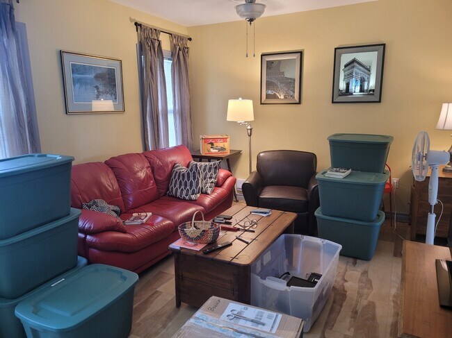 Photo du bâtiment - 47 Symonds St