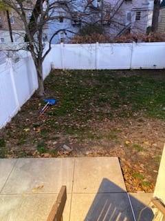 back yard - 14 Chapman St
