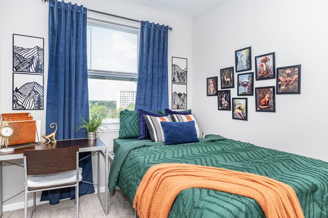 4 bed/2 bath - Vivio on Tenth