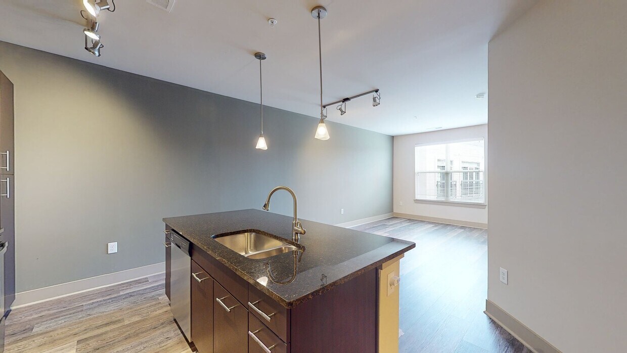 Photo - Domain College Park Apartments