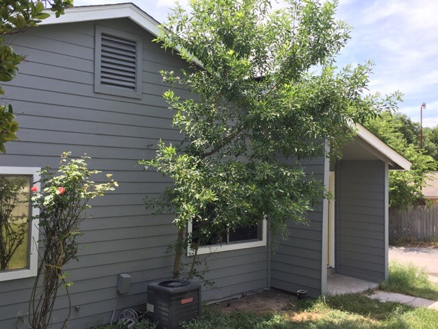 Building Photo - 1103 W Rundberg Ln