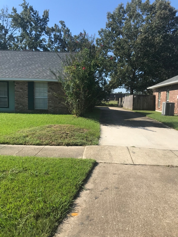 Building Photo - 15016 Lynbrook Dr