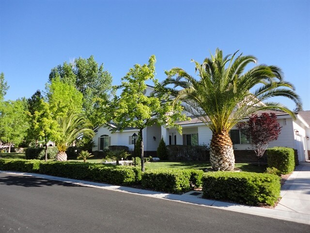 Primary Photo - 7370 Bachelors Button Drive