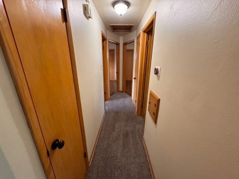 Foto del edificio - 902 Lakeview Ave