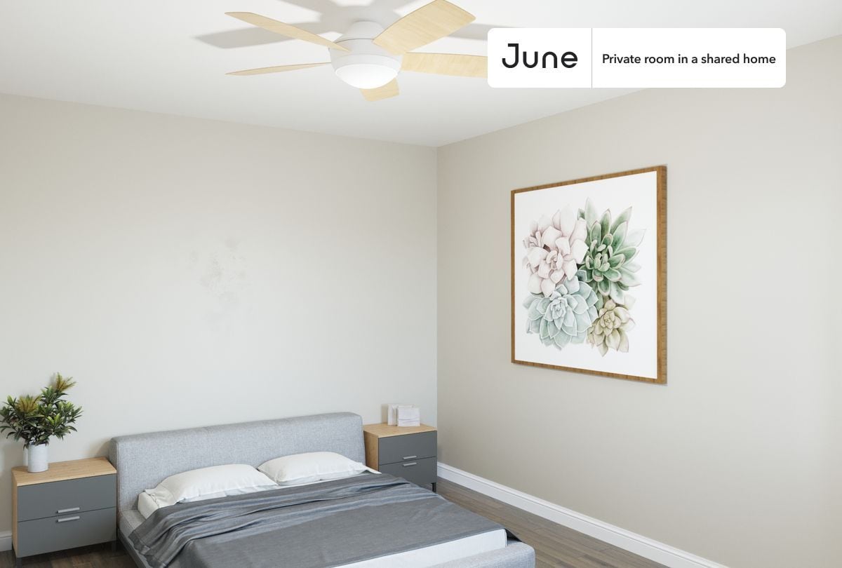 Private bedroom in 3 bed/1.5 bath Home - Private bedroom in 3 bed/1.5 bath Home