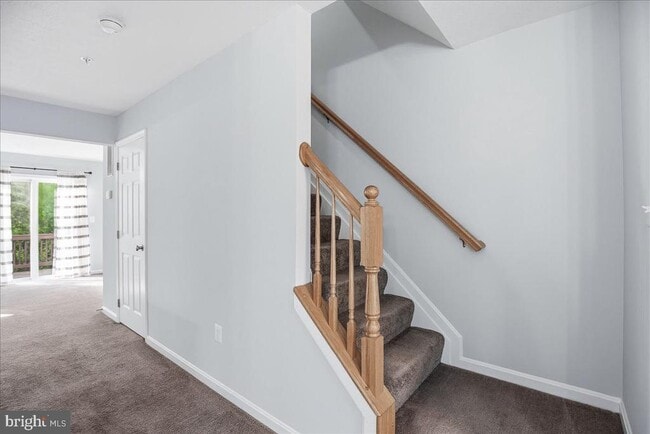 Building Photo - 8000 Delores Ct
