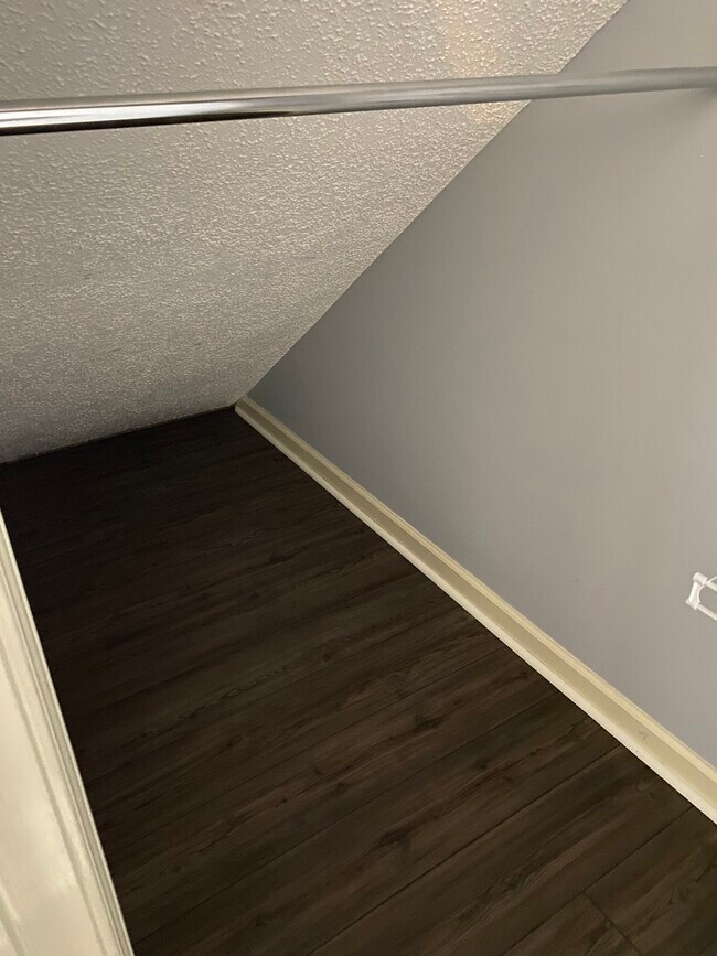 Downstairs Large Closet - 290 Shenandoah Dr