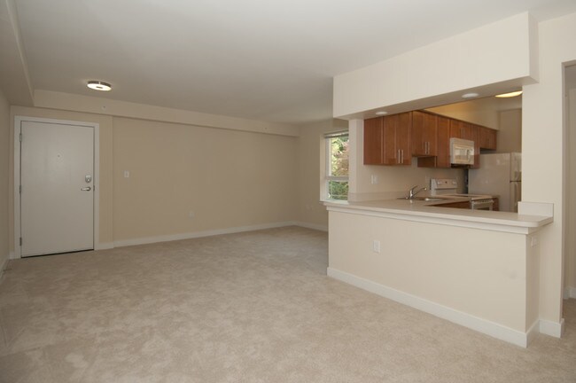 Tanglewood Apartments Silver Spring Tanglewood Apartments Silver Spring