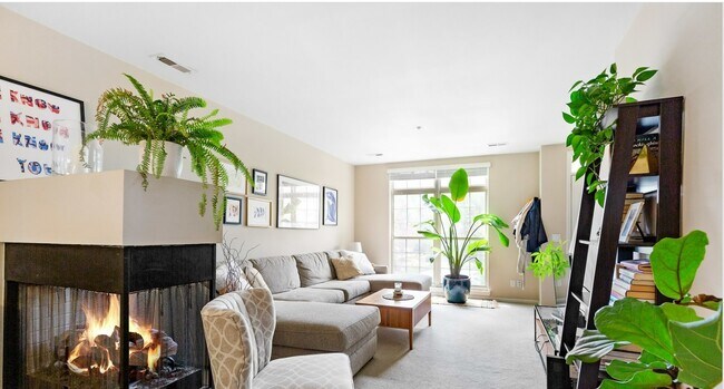 Foto del edificio - 3027 Camden Dr