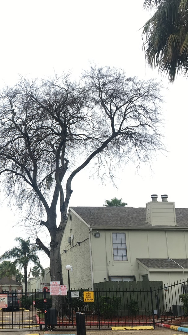 Building Photo - 3 bedroom townhouse in Southwest Area