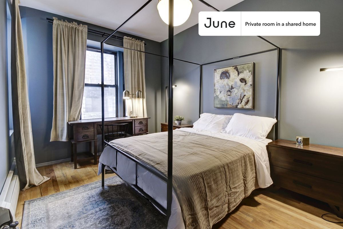 Room in Shared 4 bed/1 bath home - Room in Shared 4 bed/1 bath home