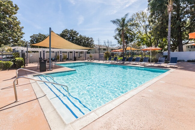 Building Photo - Avana Springs