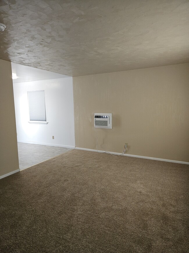 Building Photo - 517 Wildes St