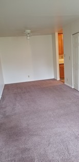 Building Photo - 361 Bancroft Ct