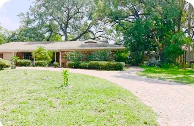 Photo - 12137 Riverhills Dr (Tampa, FL) House