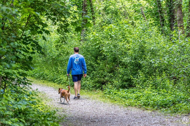 Enjoy a walk with your pet through the Hennessey Field trails.