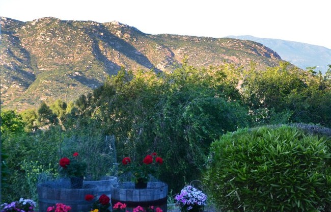 Foto del edificio - 970 Old Mountain View Rd