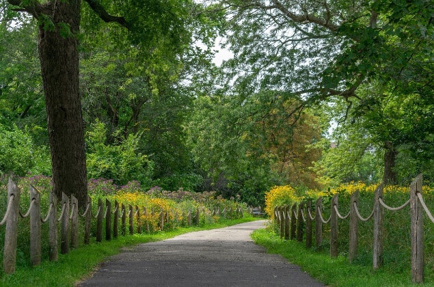 A beautiful summer day in an Uptown park