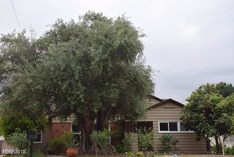 Primary Photo - 3 br, 2 bath House - 310 Knight Way