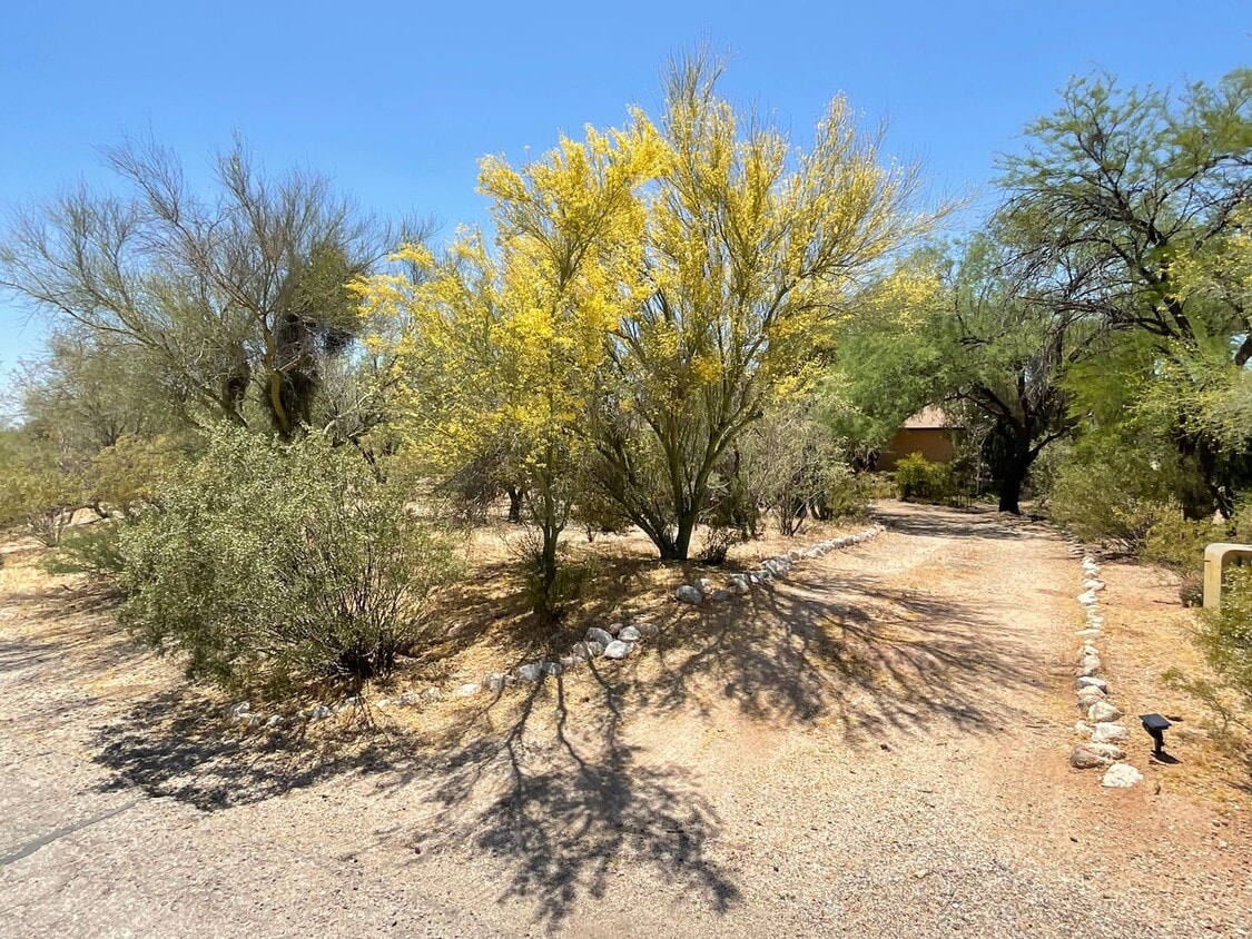 Primary Photo - Great Northwest location Magee & La Canada