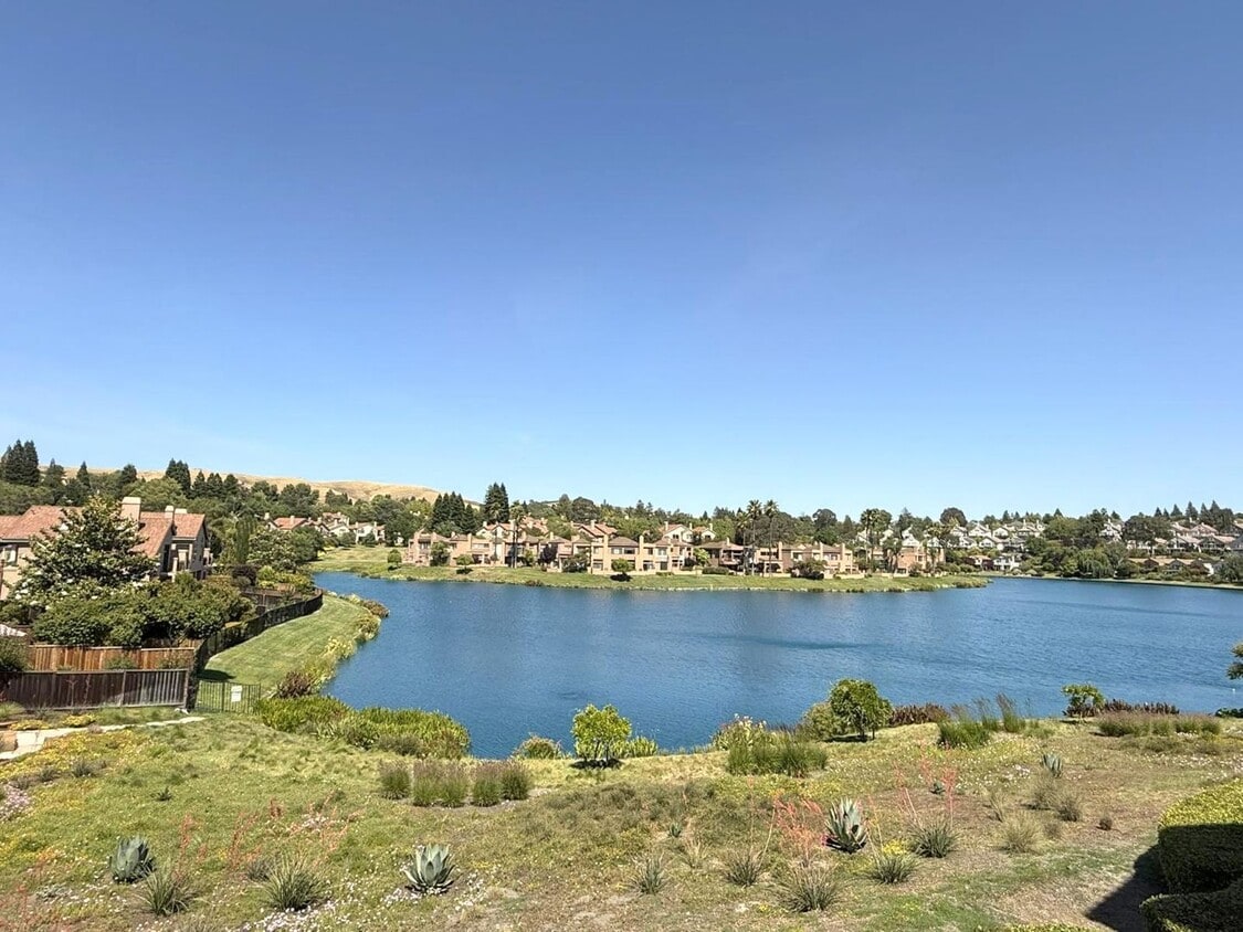 Primary Photo - Beautiful Lakefront Condo Home With Specta...