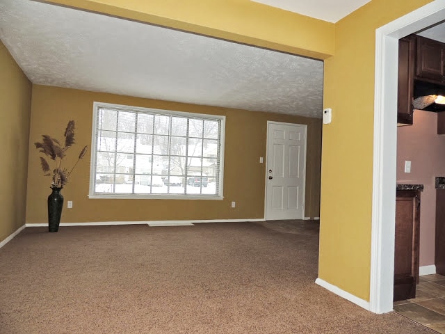 Building Photo - Renovated 3 Bedroom Colonial!