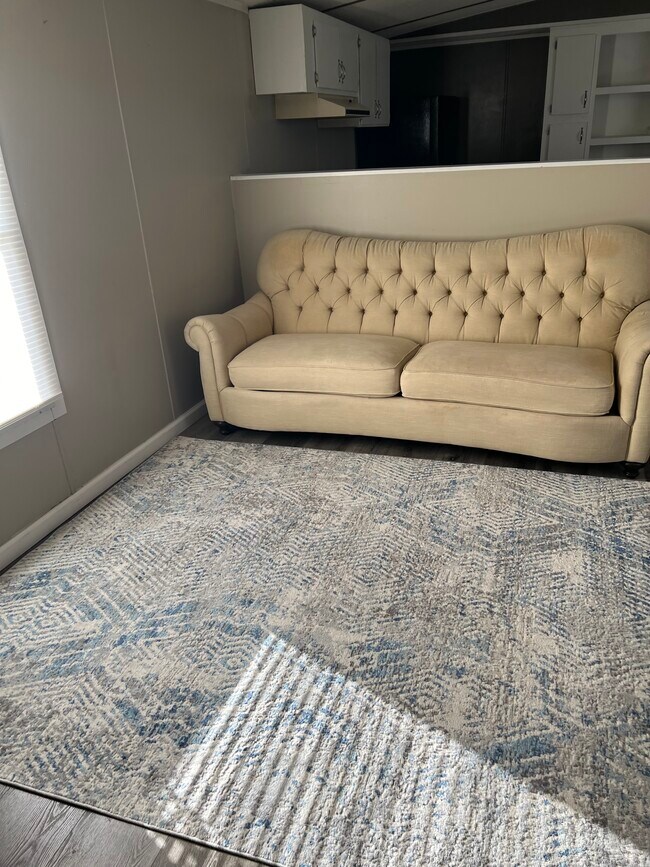 Living Room - 201 Roosevelt St