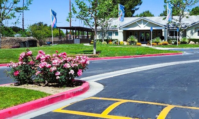Building Photo - Creekside Senior Apartments 60+