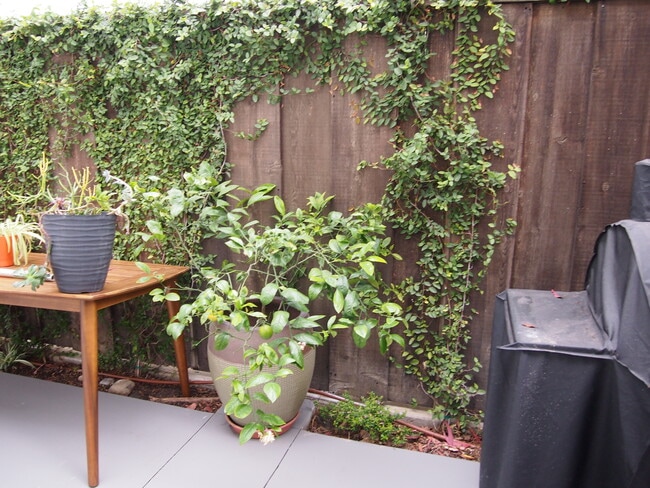 Landscaped patio - 737 Pier Avenue
