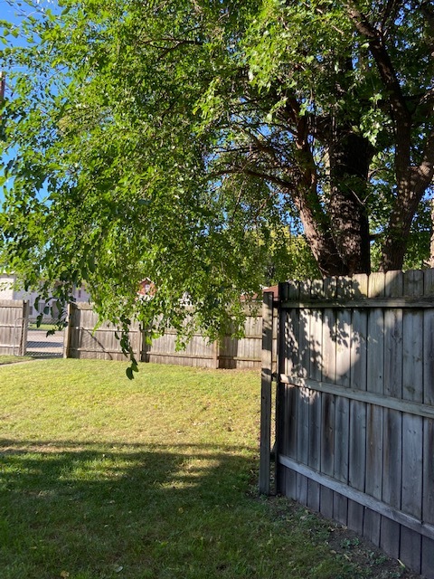 Fenced back yard - 931 Division St