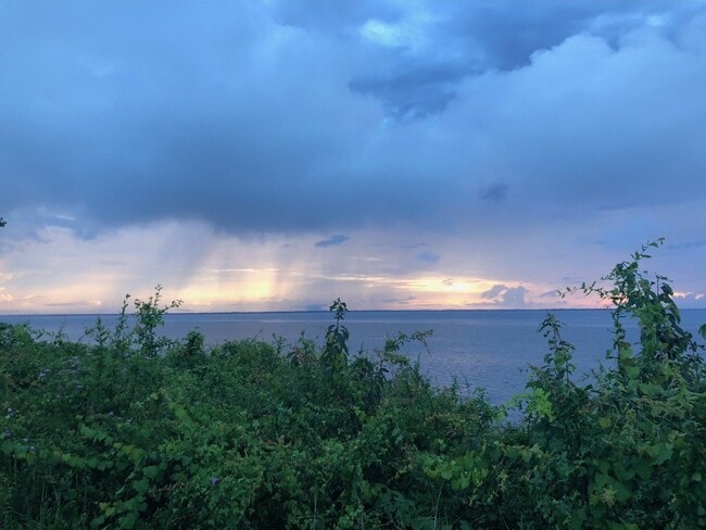 Building Photo - Modern 2-Bedroom Condo Across from the Bay...
