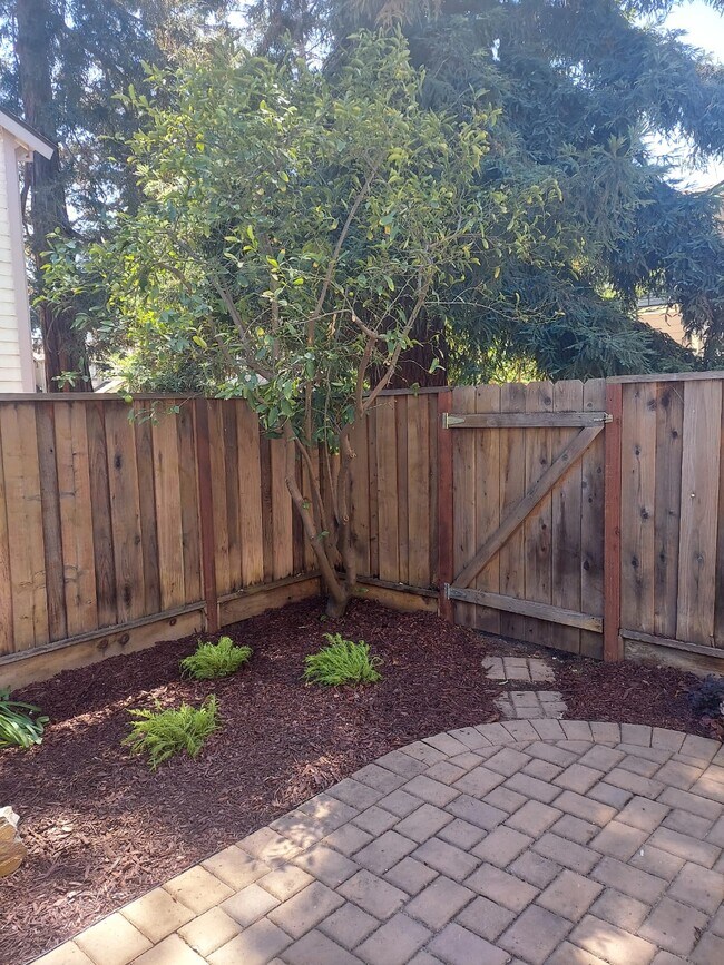 Foto del edificio - 4014 Penny Terrace