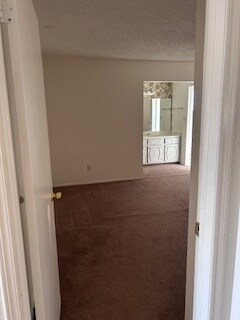Building Photo - 11317 Jack Cupit Ln