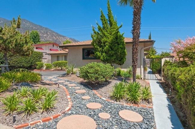 Front yard - from sidewalk - 1360 Tropical Ave