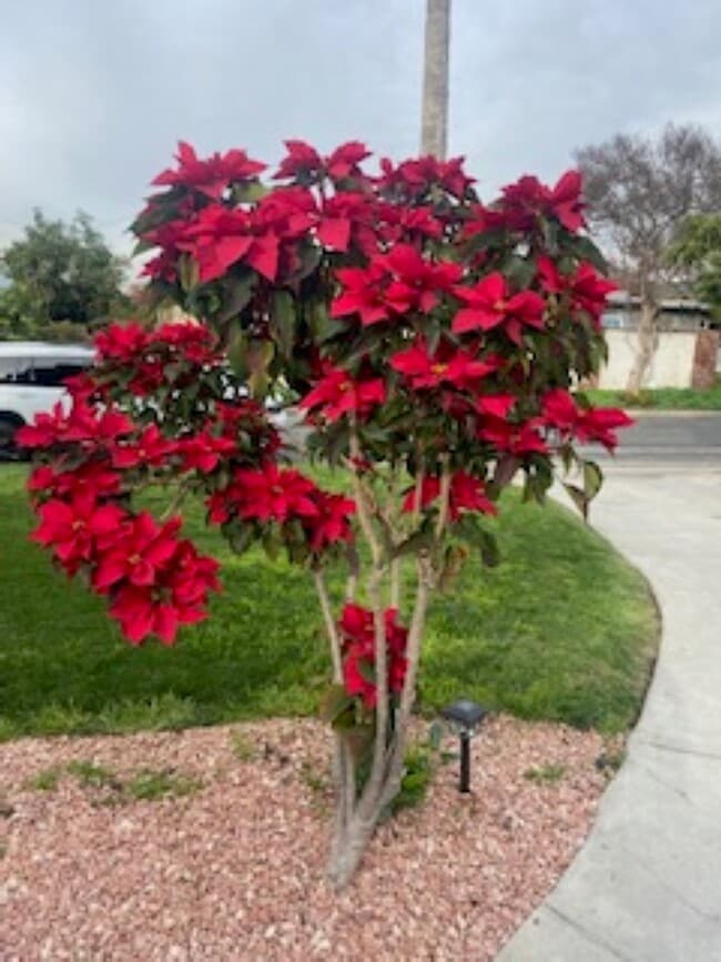 Building Photo - 16964 Millstone Dr