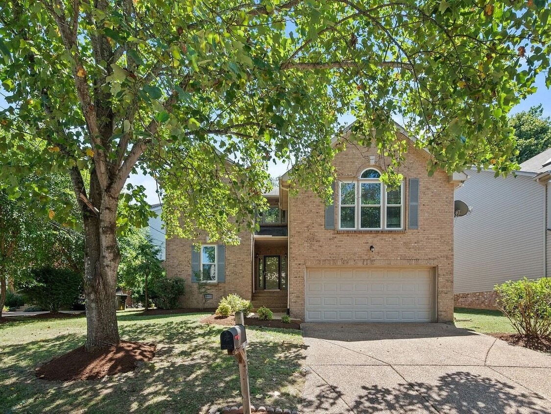 Primary Photo - Great 4BR Bellevue Home