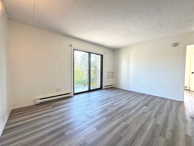 Photo du bâtiment - Freshly Renovated 1 bedroom 1 bath apartment in the heart of Point Edward