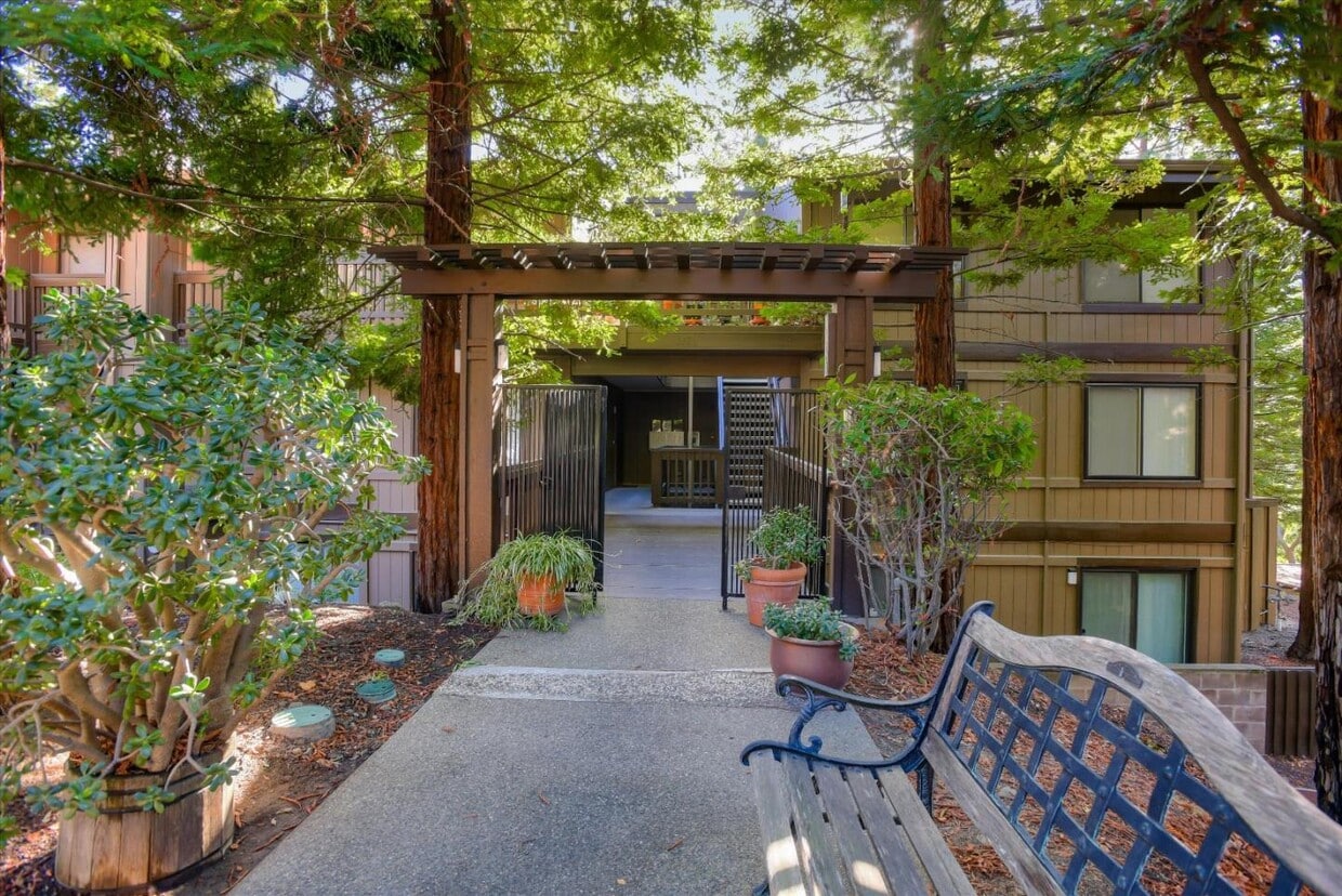 3320 Brittan Ave, San Carlos, CA 94070 Apartment for Rent in San