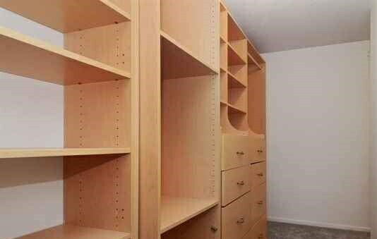 Walkin Closet - 1115 S Plymouth Ct